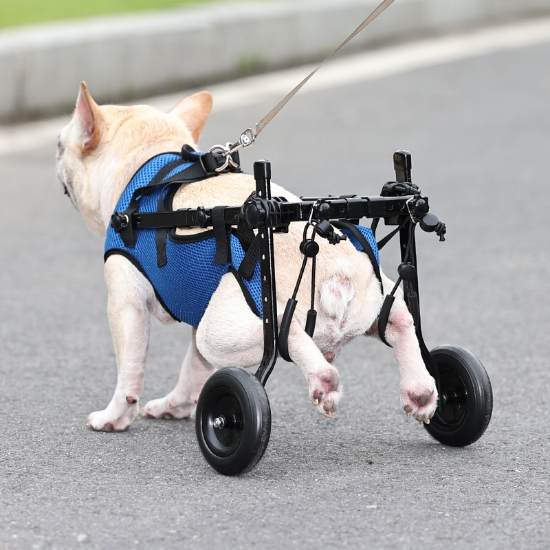 LoverPaw™ Supporto per Cane con Disabilità