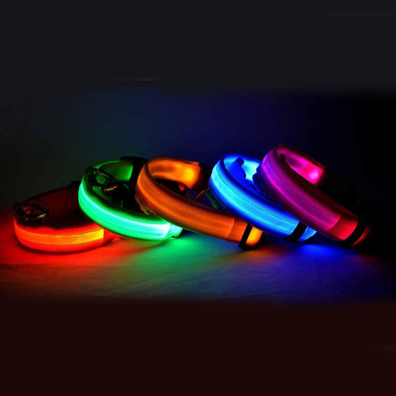 LoverPaw™ Collare Led Luminoso