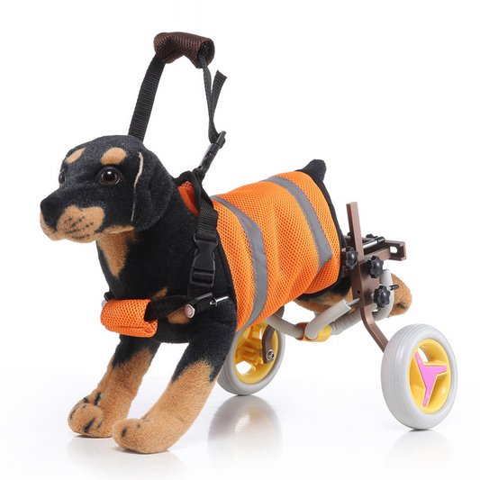 LoverPaw™ Supporto per Cane/Gatto con Disabilità Motorie