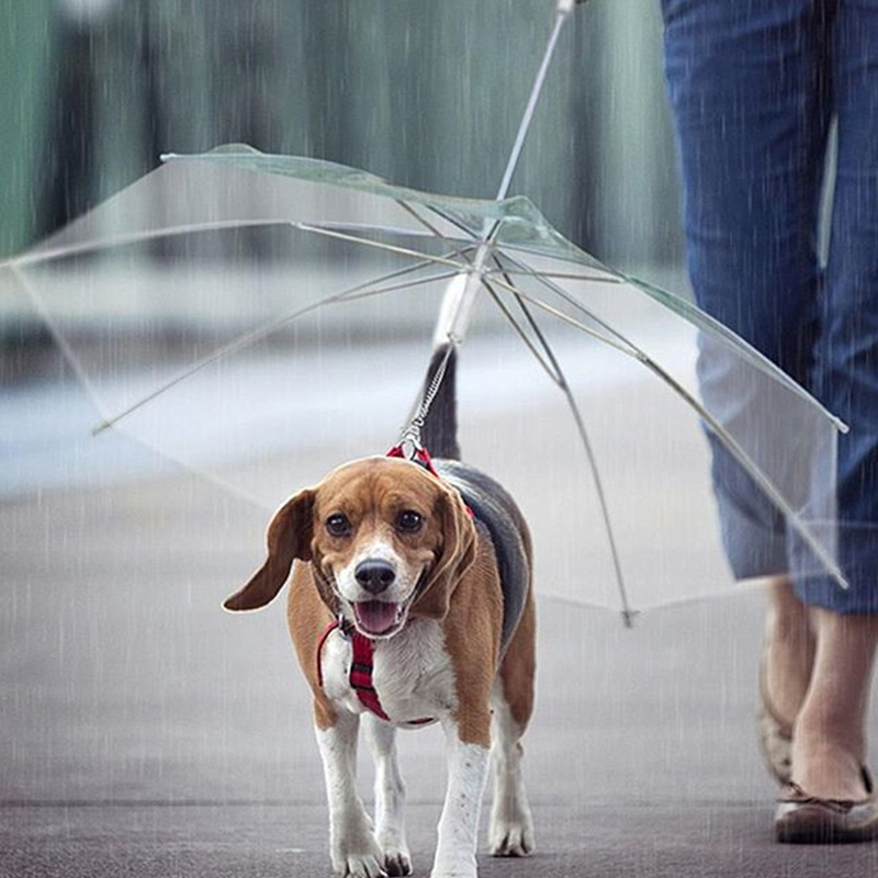 LoverPaw™ Ombrello con Guinzaglio per Animali