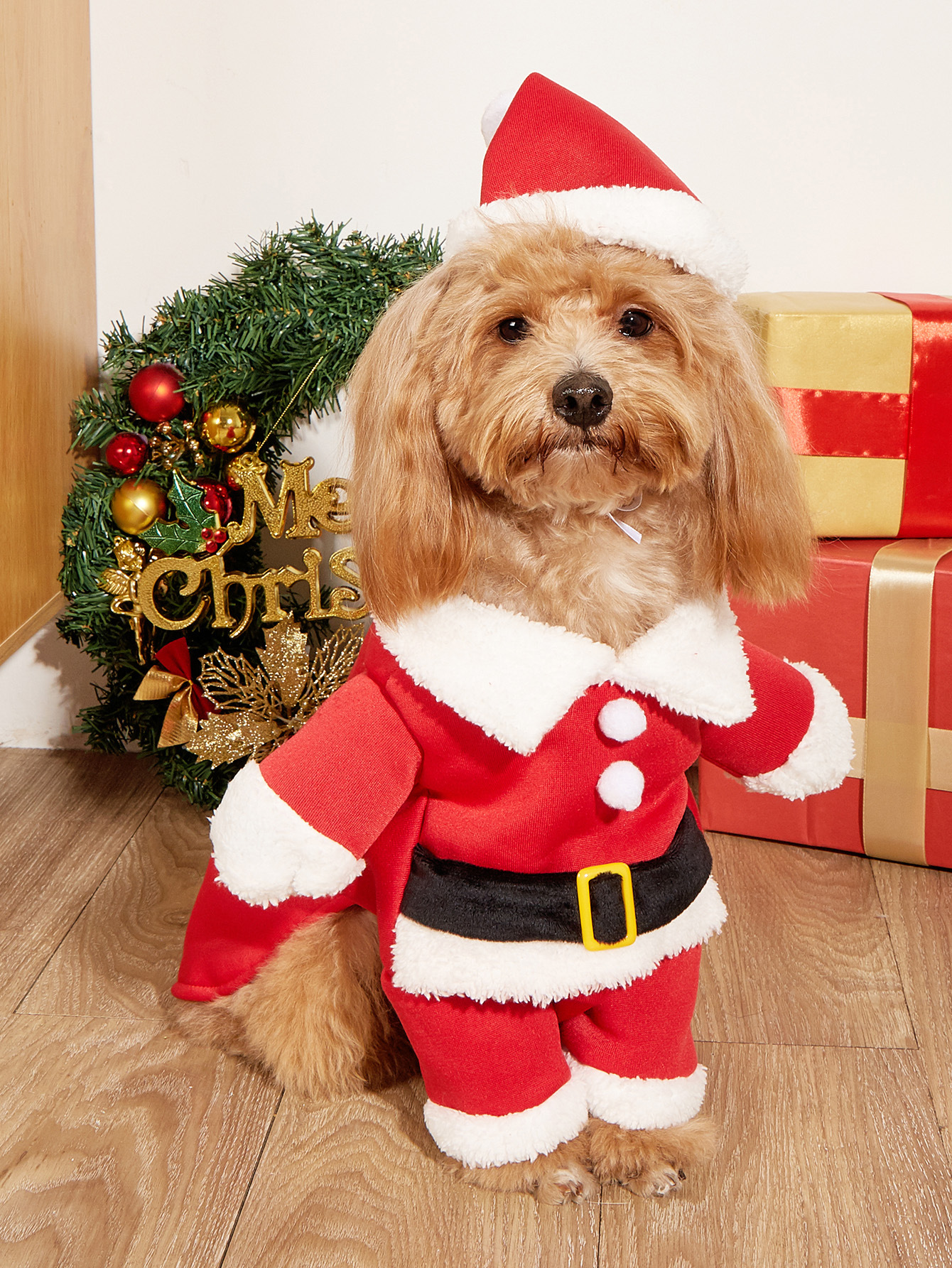 LoverPaw™ Costume da Babbo Natale per Animali