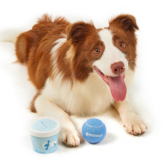 LoverPaw™ Pallina per Cani Super Resistente