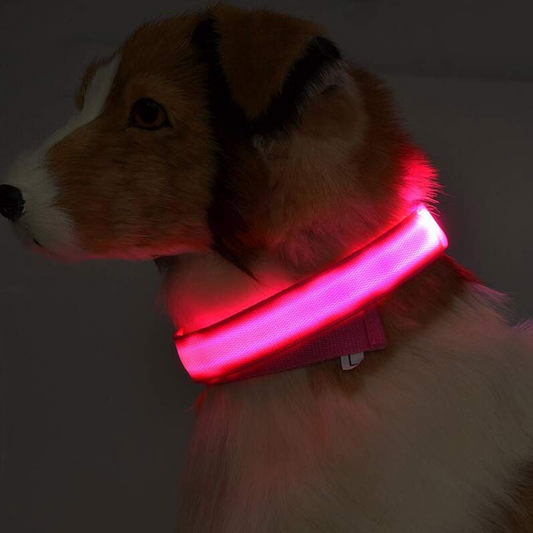 LoverPaw™ Collare Led Luminoso